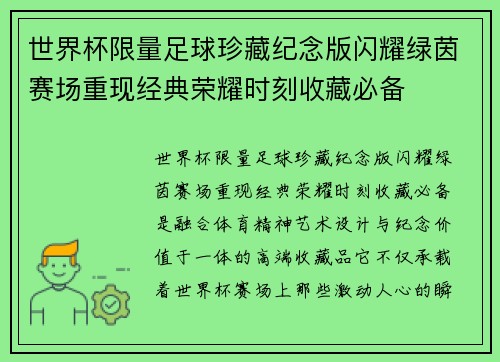 世界杯限量足球珍藏纪念版闪耀绿茵赛场重现经典荣耀时刻收藏必备